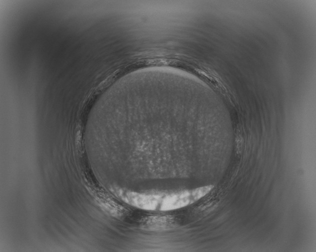 X0000081580314200702121454