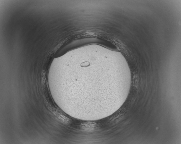 X0000081580318200702121454