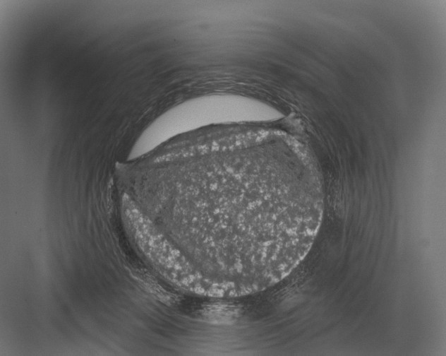 X0000081580319200702121454