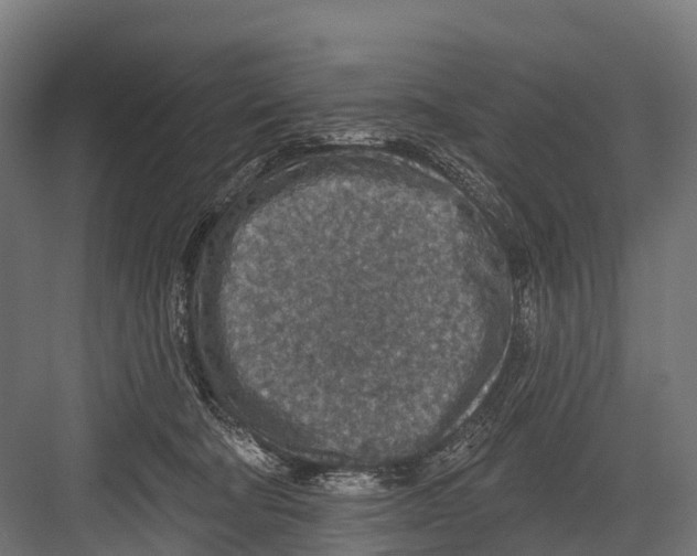 X0000081580322200702121454