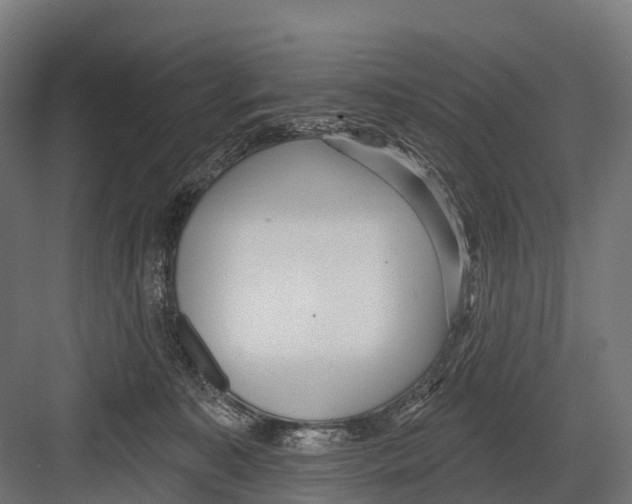 X0000081580323200702121454