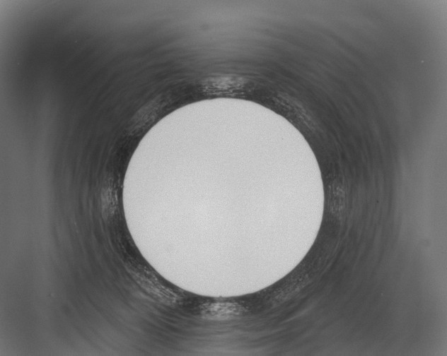 X0000081580324200702121454