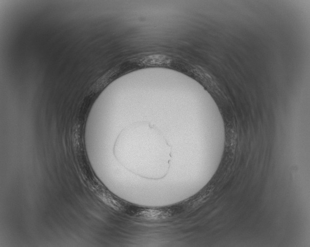 X0000081580326200702121454