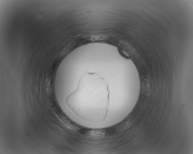 X0000081580327200702121454