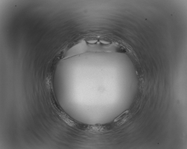 X0000081580329200702121454