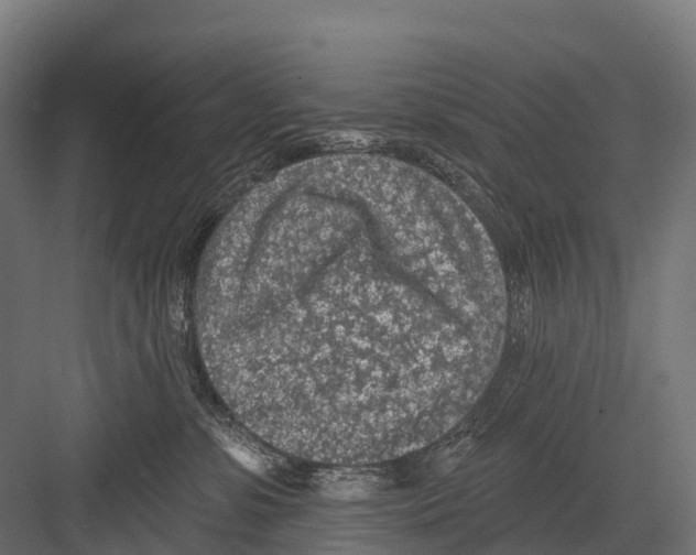 X0000081580331200702121454