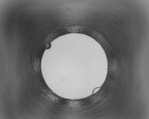 X0000081580332200702121454