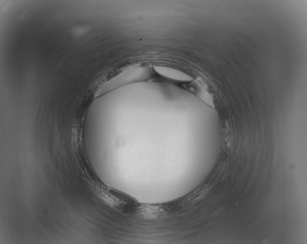 X0000081580333200702121454