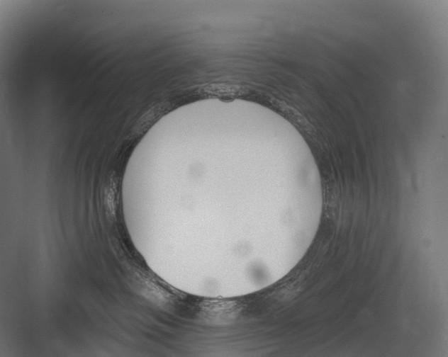 X0000081580334200702121454