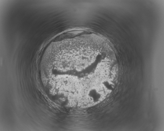 X0000081580337200702121453