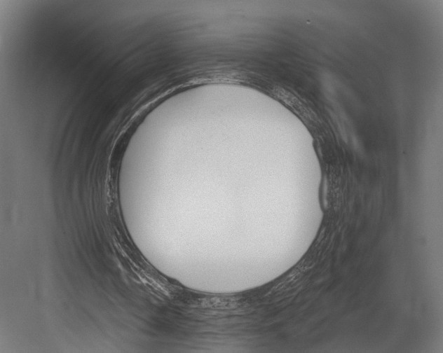 X0000081580338200702121453