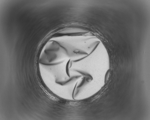 X0000081580341200702121453