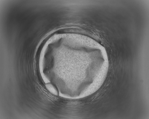 X0000081580342200702121453