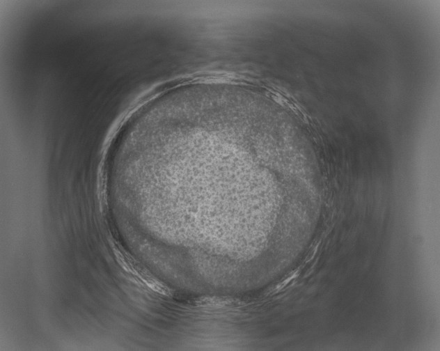 X0000081580343200702121453