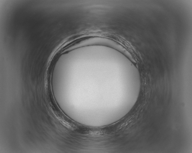 X0000081580344200702121453