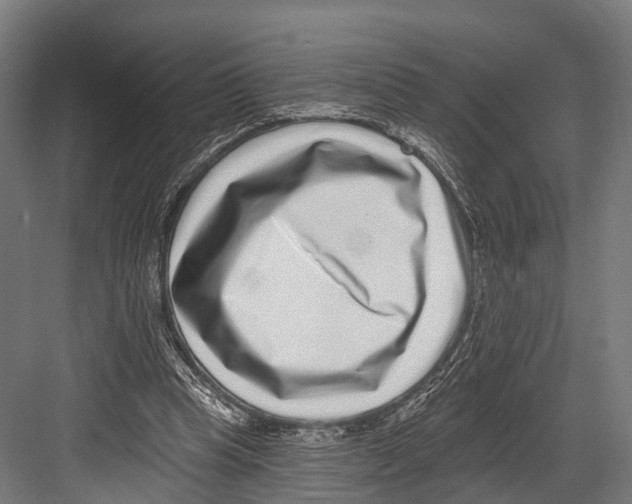 X0000081580345200702121453