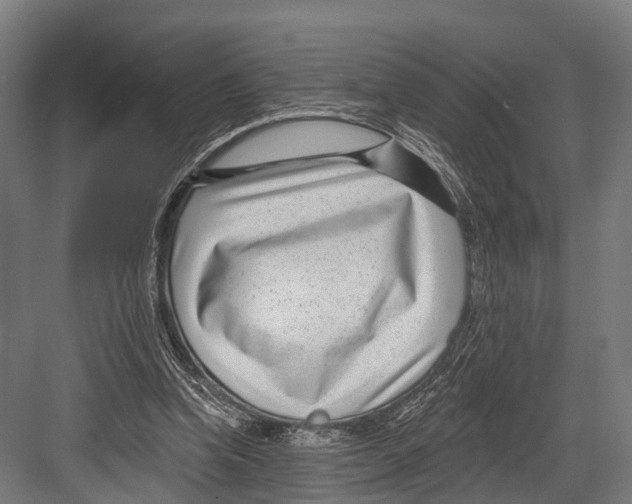 X0000081580346200702121453