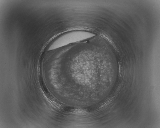 X0000081580348200702121453