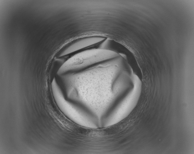 X0000081580350200702121453