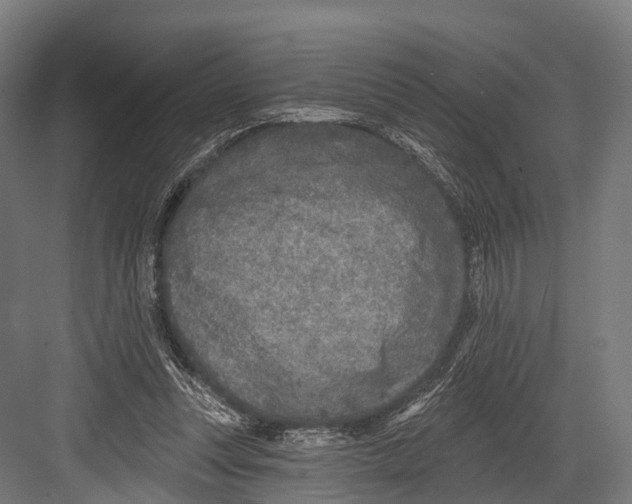 X0000081580351200702121453