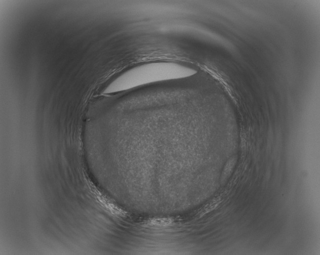 X0000081580353200702121453