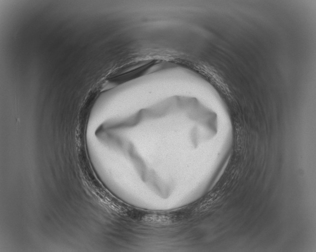 X0000081580354200702121453