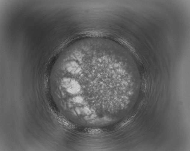 X0000081580355200702121453