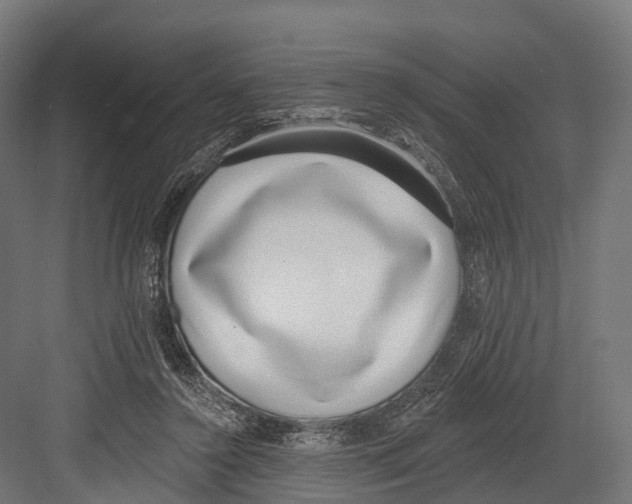 X0000081580356200702121453