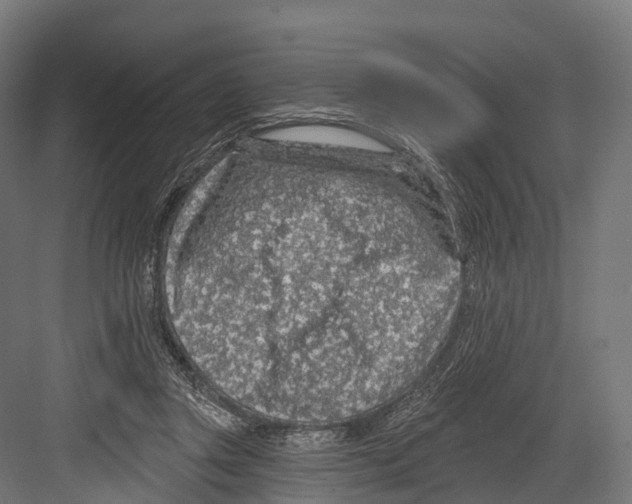 X0000081580357200702121453