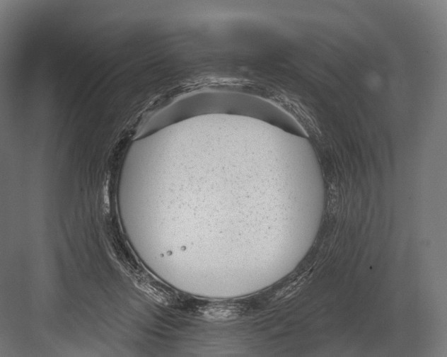 X0000081580358200702121453