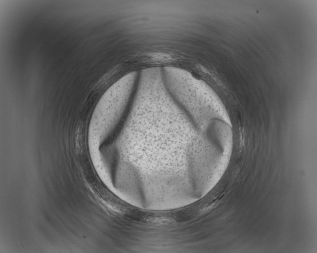 X0000081580360200702121453