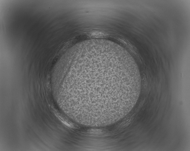 X0000081580361200702121453