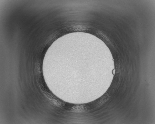 X0000081580362200702121453