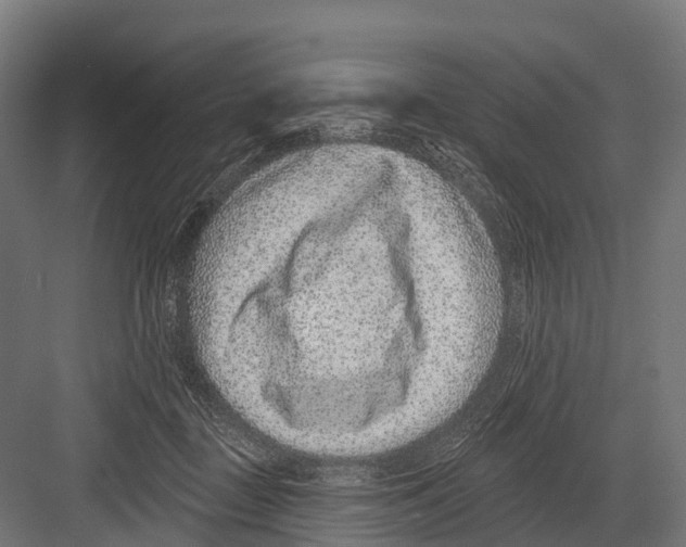 X0000081580363200702121454