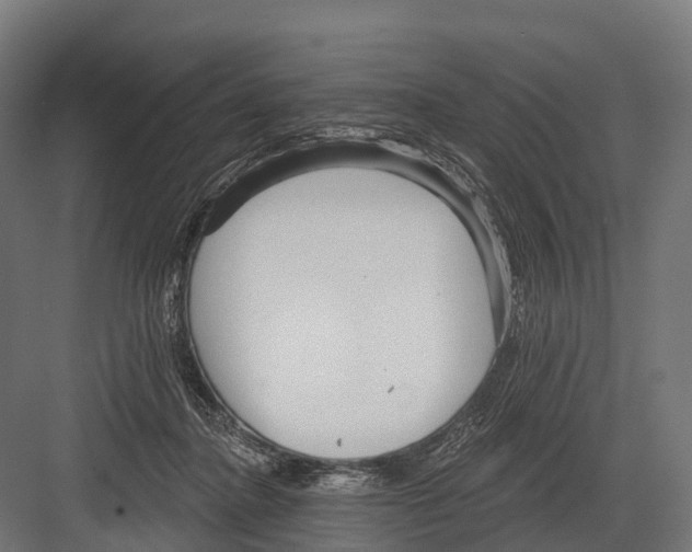 X0000081580364200702121454