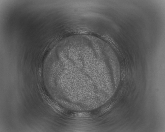 X0000081580365200702121454