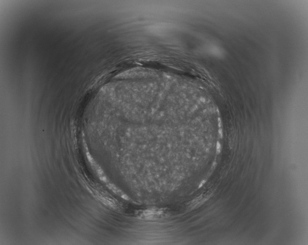 X0000081580366200702121454