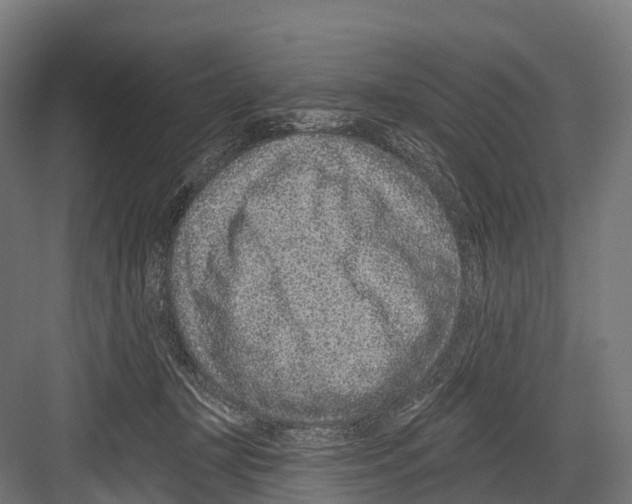 X0000081580367200702121454