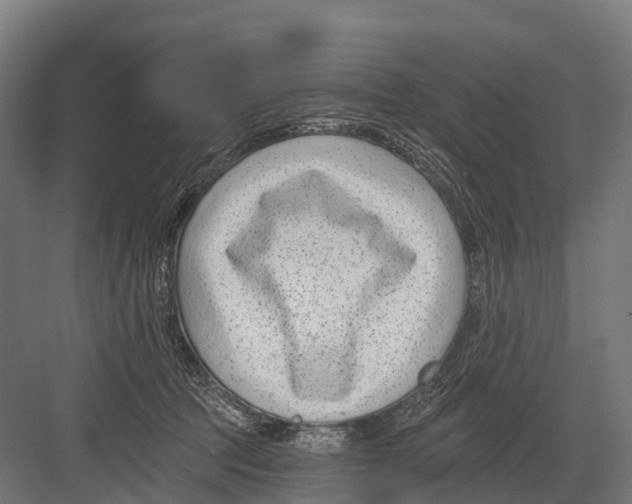 X0000081580369200702121454