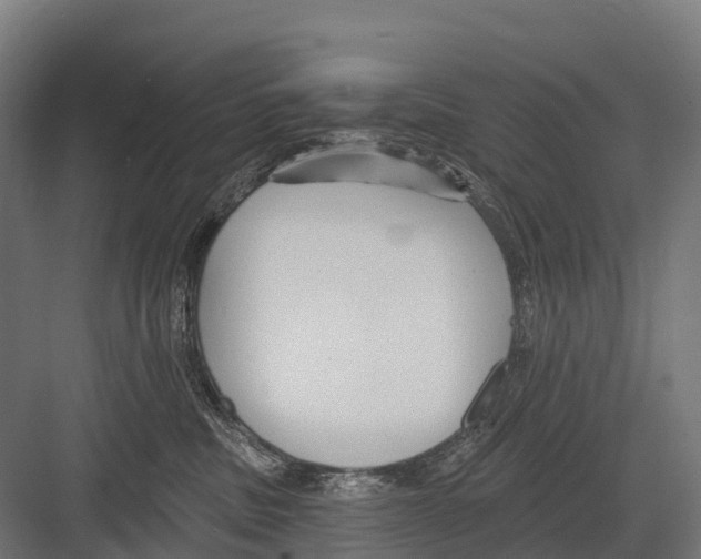 X0000081580379200702121454