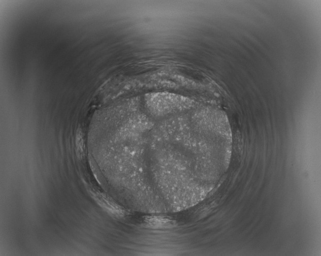 X0000081580380200702121454