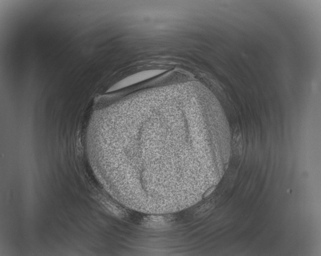 X0000081580381200702121454