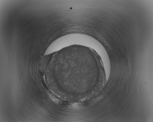 X0000081580382200702121454