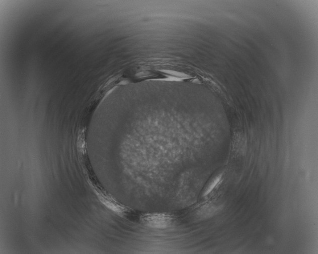 X0000081580383200702121454