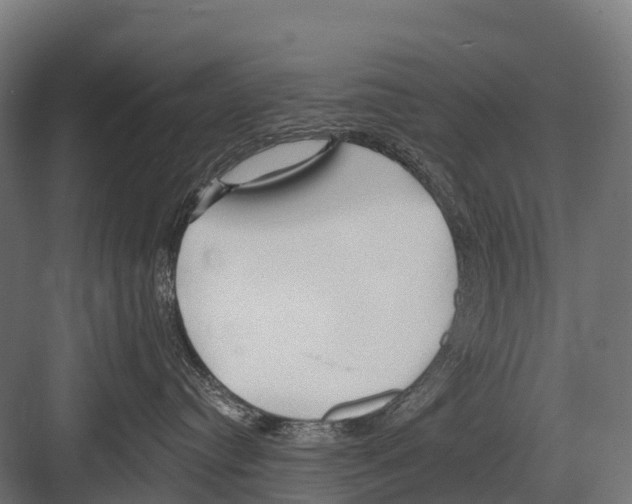 X0000081580384200702121454