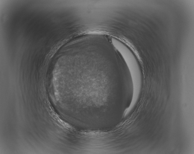 X0000081580385200702121453