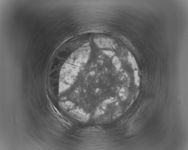 X0000081580386200702121453