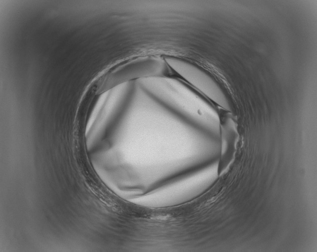 X0000081580388200702121453