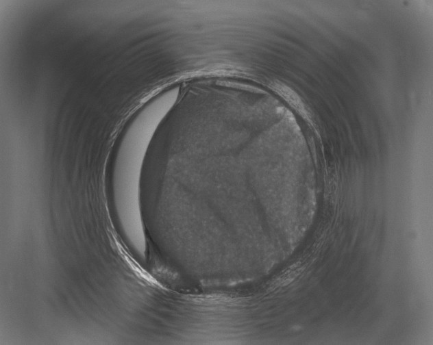 X0000081580389200702121453