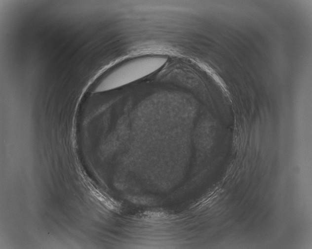 X0000081580391200702121453